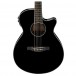 Ibanez AEG10II Electro Acoustic 2018, Black front close up view