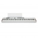 Arturia Keylab 88 MKII, White