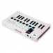 Arturia MiniLab 3 Back, Angled