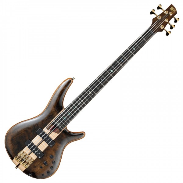 Ibanez SR1825 Premium 5 String Bass 2018, Natural Low Gloss Front View