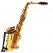Elkhart 100AS Student Alto Saxophone - Secondhand
