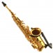 Elkhart 100AS Student Alto Saxophone - Secondhand