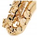 Selmer Paris SA80 Series II Alto Saxophone, Gold Lacquer