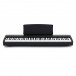 Kawai ES120 Digital Stage Piano, Black