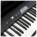 Korg LP-180 Digital Piano, Black