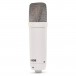 NT1 Condenser Microphone, White - Angled