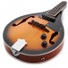 Electro Acoustic Mandolin by Gear4music, Vintage Sunburst