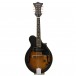 Tanglewood TWMF VSE Union Series Electric Mandolin, Vintage Sunburst - Secondhand