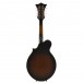 Tanglewood TWMF VSE Union Series Electric Mandolin, Vintage Sunburst - Secondhand