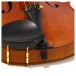 Hidersine Nobile Violin Outfit, Stradivari Design - Secondhand