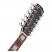 Hartwood Revival 12 String, Cherry