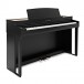 Kawai CN301 Digital Piano, Satin Black