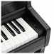 Kawai CN301 Digital Piano, Satin Black