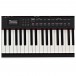 Roland RD-88 Compact 88-Key Stage Piano