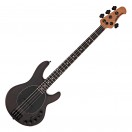 Music Man DarkRay, Dark Rainbow
