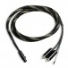 Pro-Ject Connect-IT Phono DS RCAMini XLR Cable, 1.23m Front View