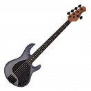 Music Man DarkRay 5 String, Starry Night