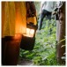 Pure Woodland Glow Portable Outdoor Speaker - Lifestyle 3