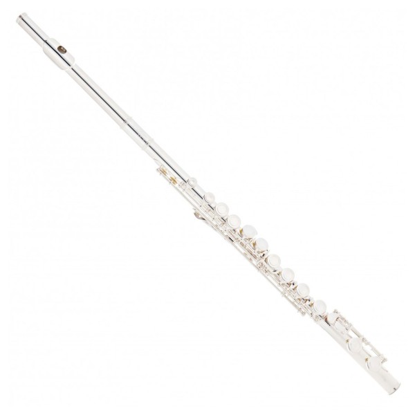Leblanc LFL211E Student Flute, Package 1