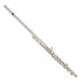 Powell Sonaré 101 Series Flute Package 1