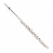 Stagg FL111 Flute