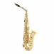 Buffet Prodige Alto Saxophone with Gigbag, Lacquer