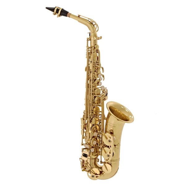 Elkhart 100AS Student Alto Saxophone Package, Gold Lacquer 1