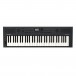 Roland GO:KEYS 5 Music Creation Keyboard, Graphite