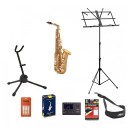 Trevor James 'The Horn' Alto Saxophone Package, Gold Lacquer