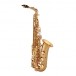 Trevor James 'The Horn' Alto Saxophone, Gold Lacquer