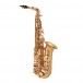 Buffet 100 Series Alto Saxophone, Lacquer