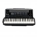 Korg Fisa Suprema Accordion, Piano Type- keys