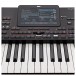 Korg Pa4X 76 Professional Arranger Keyboard