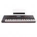 Korg Pa4X 76 Professional Arranger Keyboard