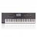 Korg Pa4X 76 Professional Arranger Keyboard