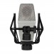 sE Electronics T2 Large-Diaphragm Condenser Microphone - Rear with Shock Mount