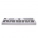 Arturia KeyLab Essential 61 MIDI Keyboard