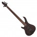 G4M 878 Left Hand Bass Guitar, Walnut Stain & Eden Orbiter 8 Combo