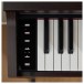 Casio AP-S200 Digital Piano, Rosewood