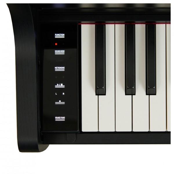 Casio AP-300 Digital Piano, Black at Gear4music
