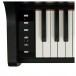 Casio AP-300 Digital Piano, Black