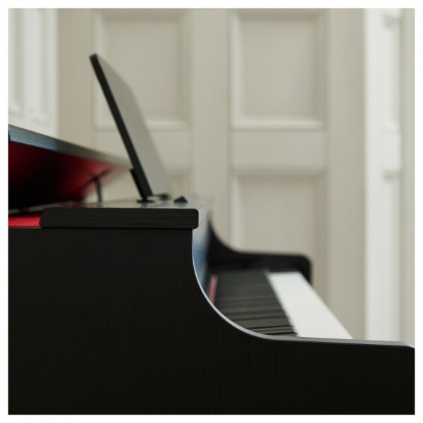 Casio AP-300 Digital Piano, Black