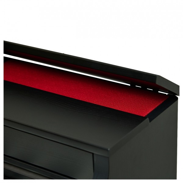 Casio AP-300 Digital Piano, Black