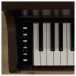 Casio AP-300 Digital Piano, Rosewood 