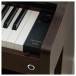 Casio AP-300 Digital Piano, Rosewood