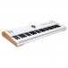 Astrolab 61-Key Stage Keyboard - Angled 2