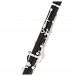 Buffet R13 Professional Bb Clarinet Outfit