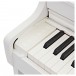 Casio AP-300 Digital Piano, White