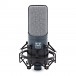 Subzero Large Diaphragm Condenser Mic