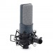 Subzero Large Diaphragm Condenser Mic